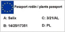 Salix repens argentea pa - Hietikkopaju PA 90
