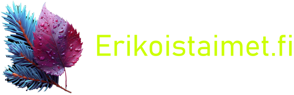 erikoisteimet.com